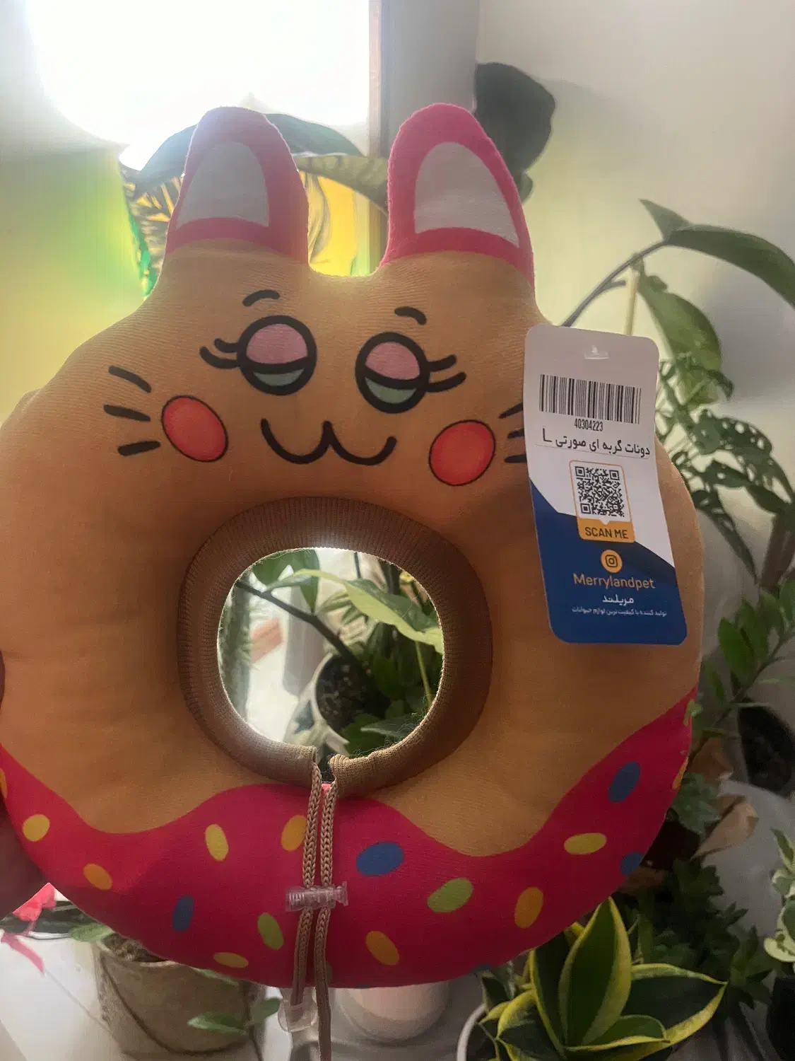 پت شاپ|لوازم جانبی حیوانات|رشت, گلسار|دیوار