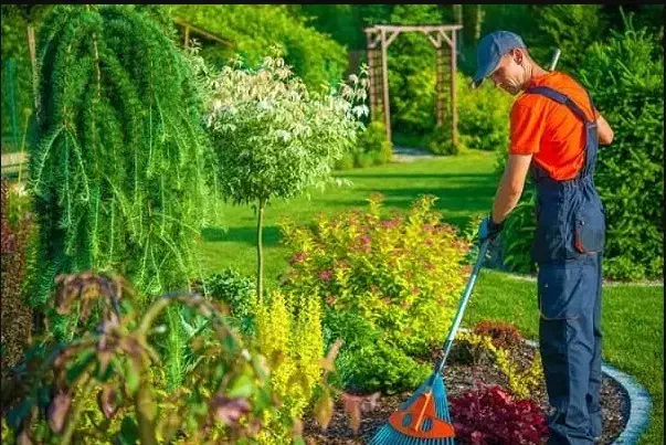 استخدام باغبان|استخدام سرایداری و نظافت|شهریار, شهریار|دیوار