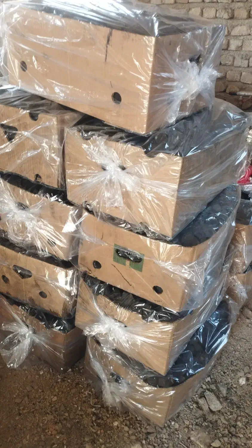 زغال قلیانی لیمو و زغال مجلسی|عمدهفروشی|محلات, |دیوار