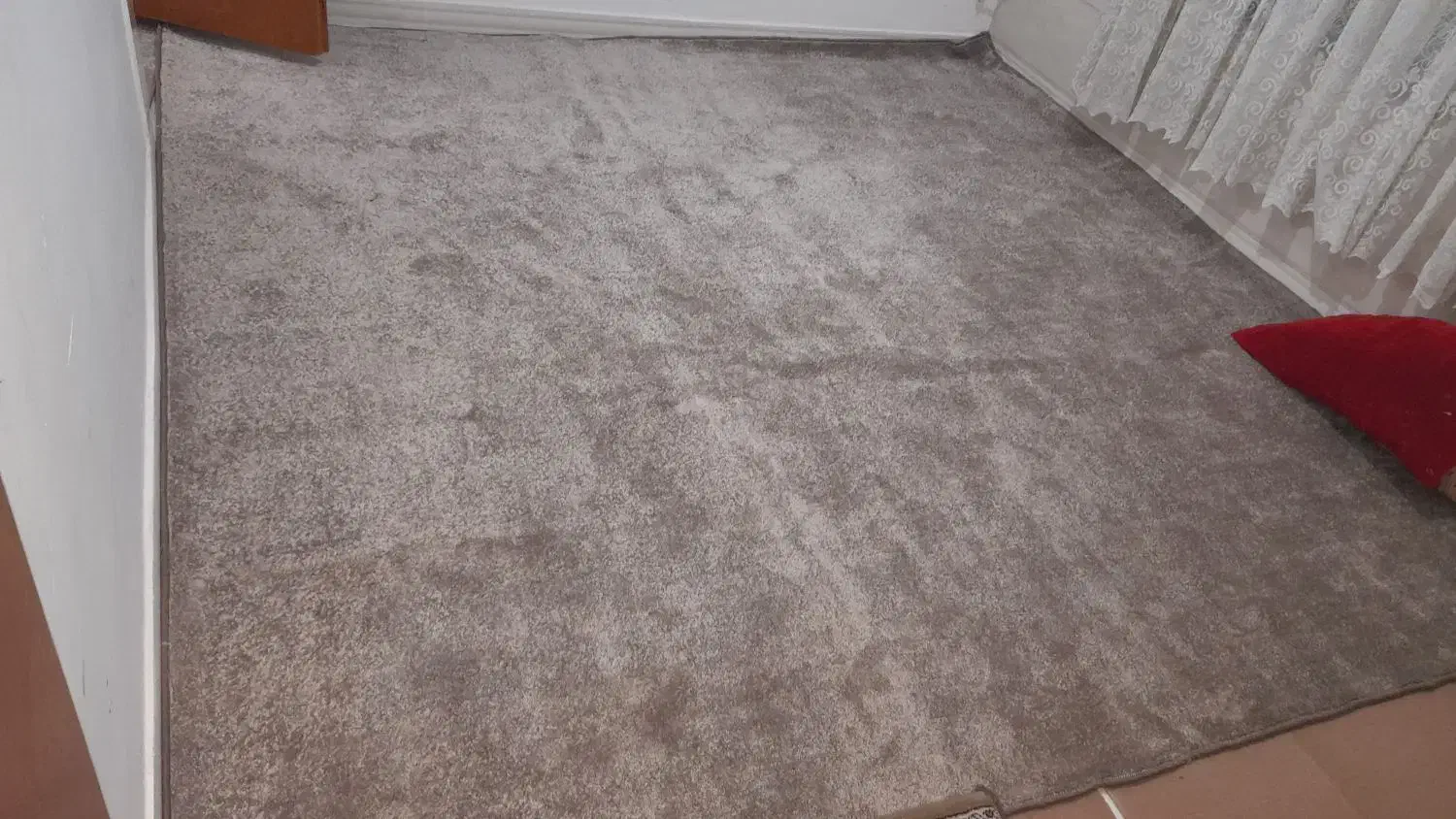 پالاز موکت|موکت|کرمانشاه, |دیوار