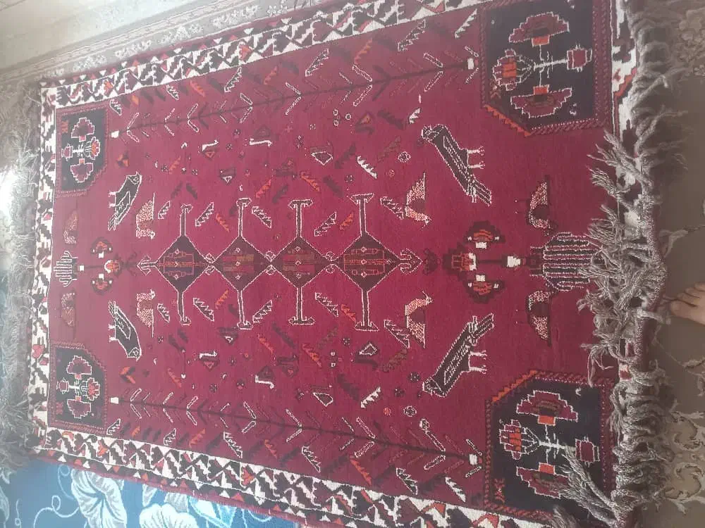 فروش قالی  دست باف|فرش|شیراز, آبیاری|دیوار