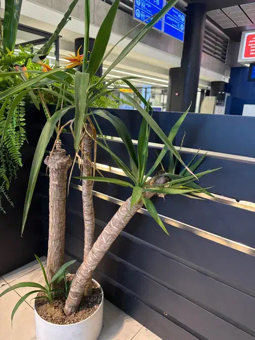 استخدام|استخدام خدمات فروشگاه و رستوران|کیش, |دیوار