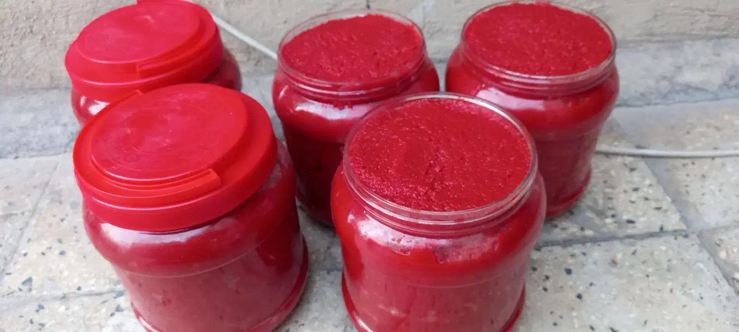 رب خانگی و قرمه سبزی و ترشیجات و بادمجان سرخ کباب|خوردنی و آشامیدنی|تهران, مشیریه|دیوار