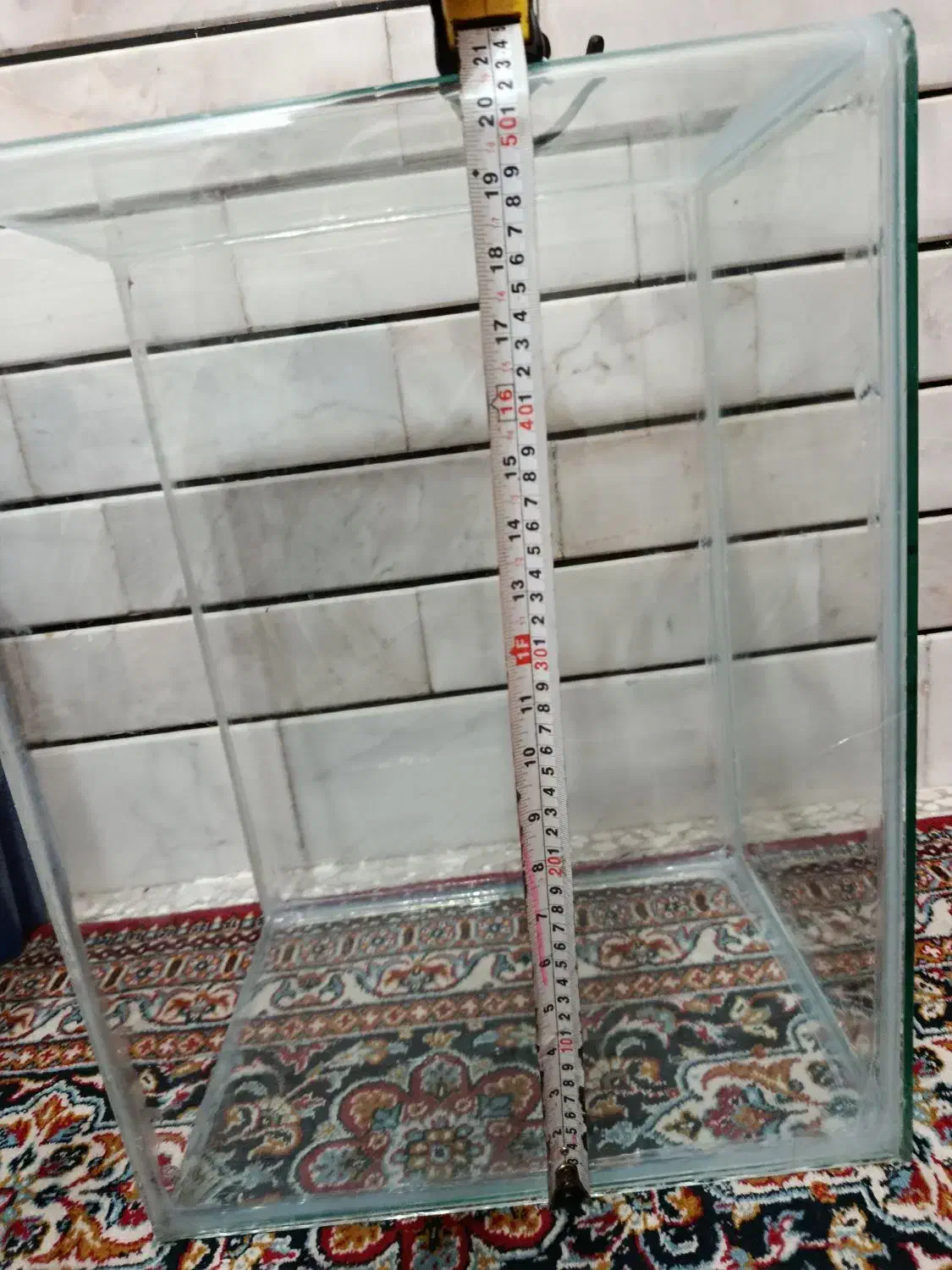 آکواریوم 6 میل  گوشه خم|ماهی|خمینی‌شهر, |دیوار
