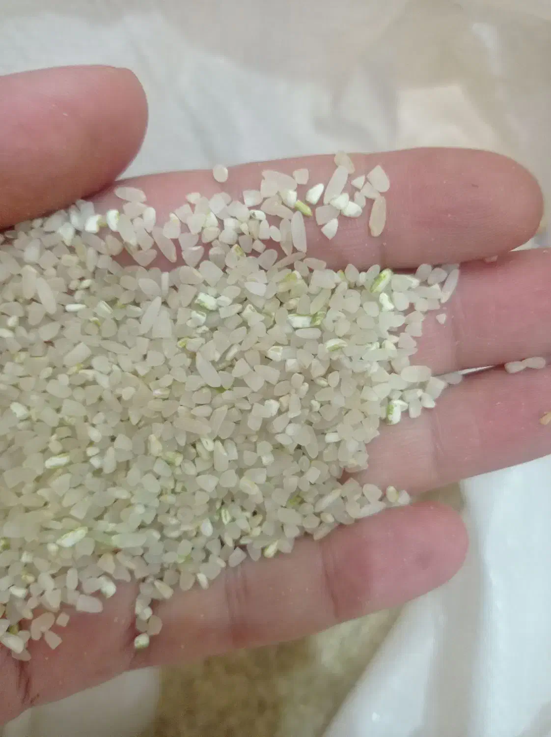 برنج کامفیروز|خوردنی و آشامیدنی|فسا, |دیوار