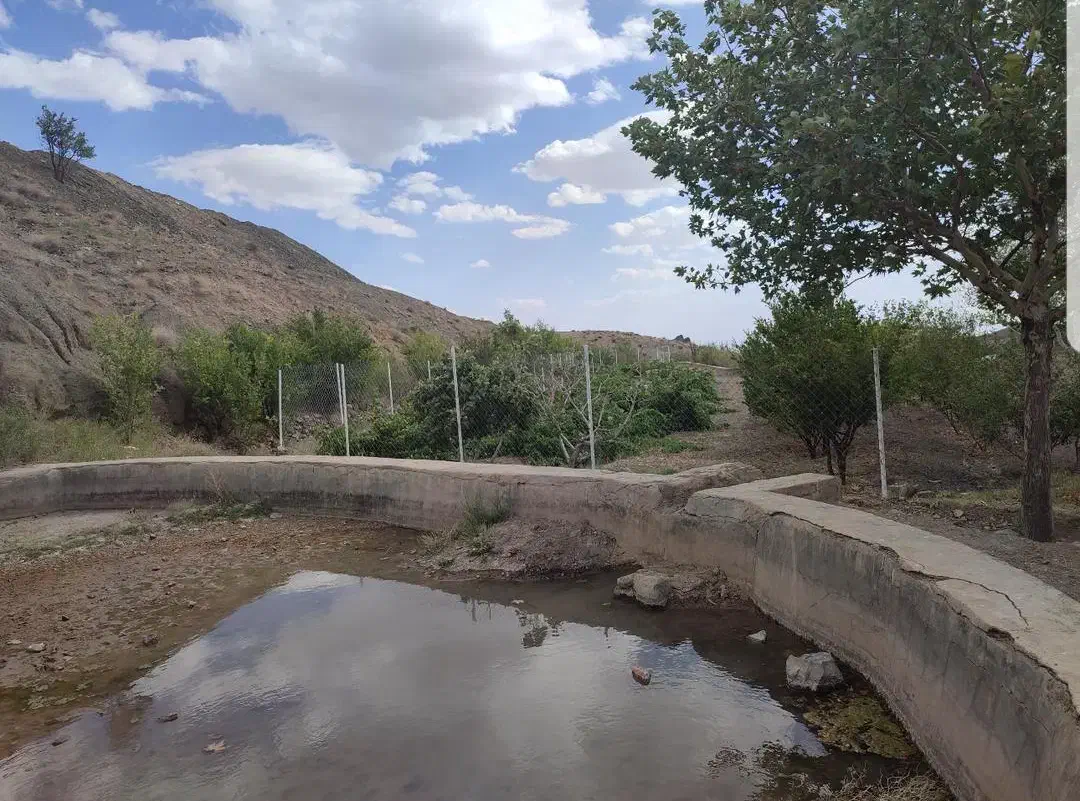 باغ واقع در روستای قز|فروش زمین و ملک کلنگی|سبزوار, کراب|دیوار