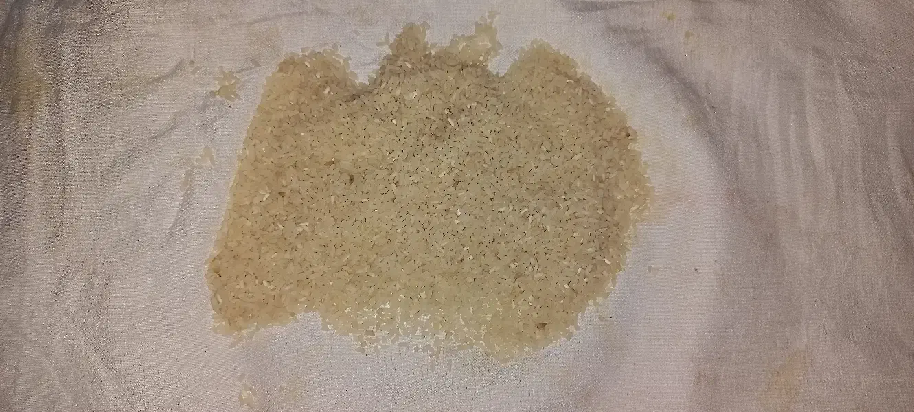 برنج|خوردنی و آشامیدنی|رشت, کوی طالقانی|دیوار