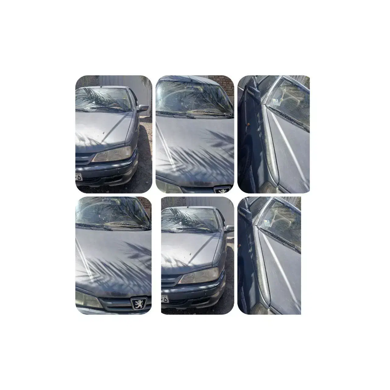 فروش پارس دوگانه|خودرو سواری و وانت|بم, |دیوار