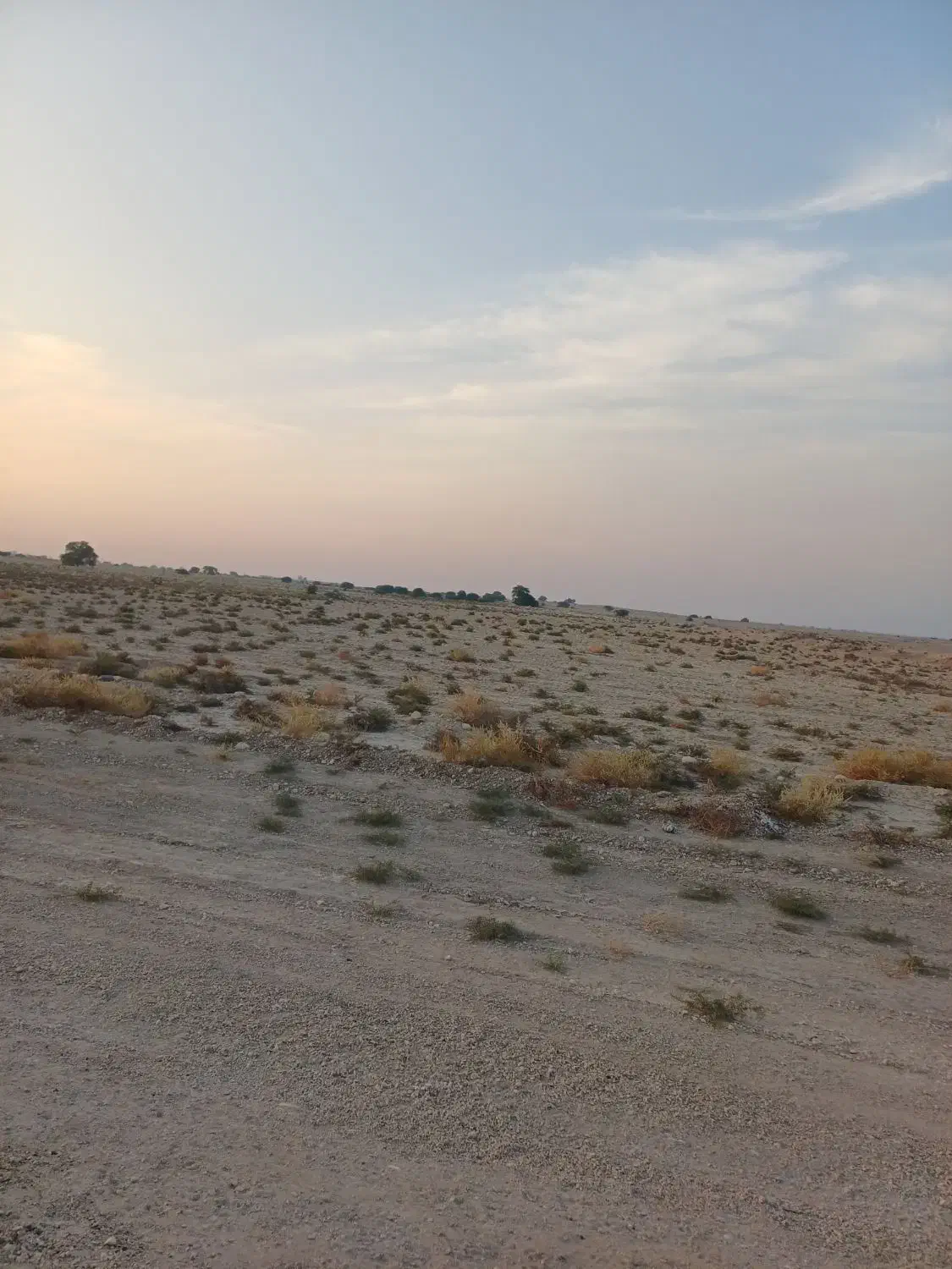 زمین|فروش دفتر صنعتی، کشاورزی، تجاری|چغادک, |دیوار