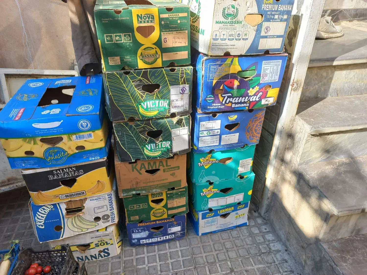 کارتن موز ۱۷ عدد|حراج|مریوان, |دیوار