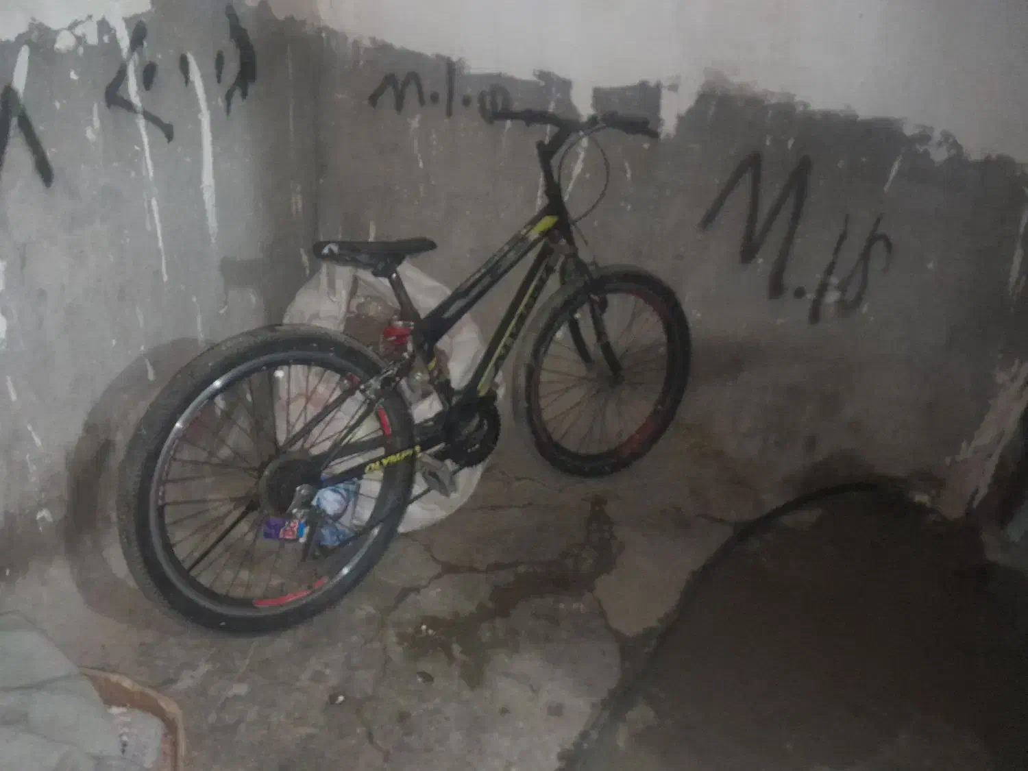 دوچره،|دوچرخه، اسکیت، اسکوتر|مسجد سلیمان, |دیوار