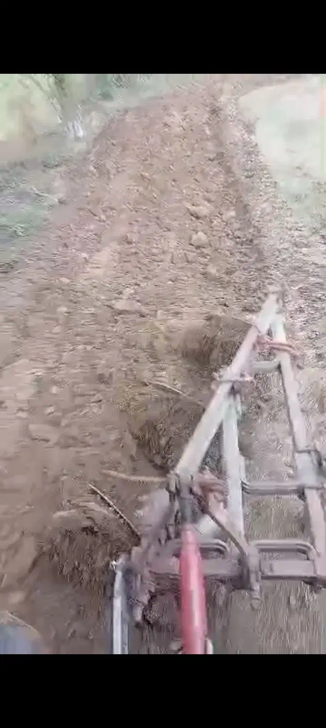 خدمات کشاورزی|خدمات باغبانی و درختکاری|کردکوی, |دیوار