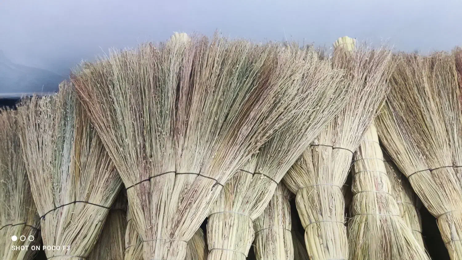 جارو|لوازم نظافت|کلاله, |دیوار