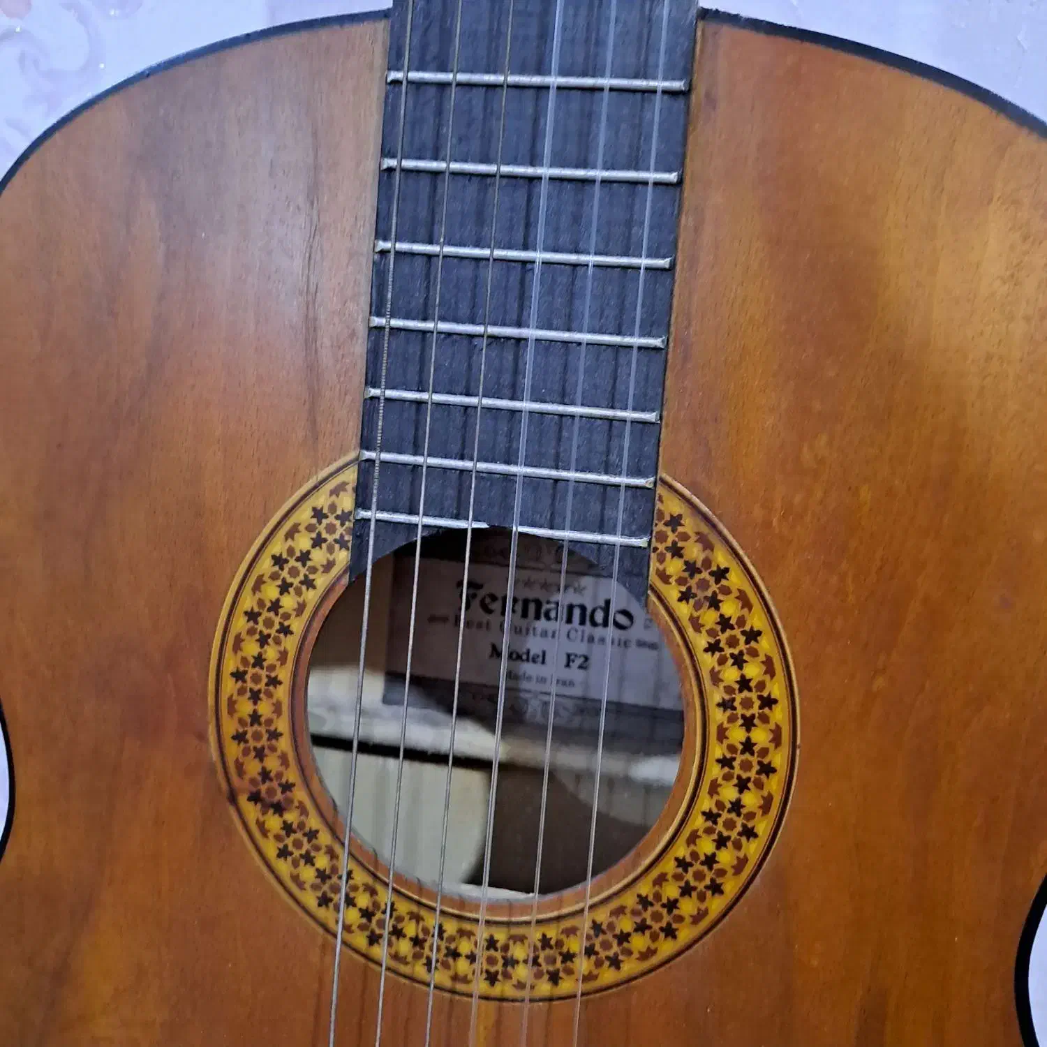 گیتار فرناندو|گیتار، بیس، امپلیفایر|ماهدشت, |دیوار