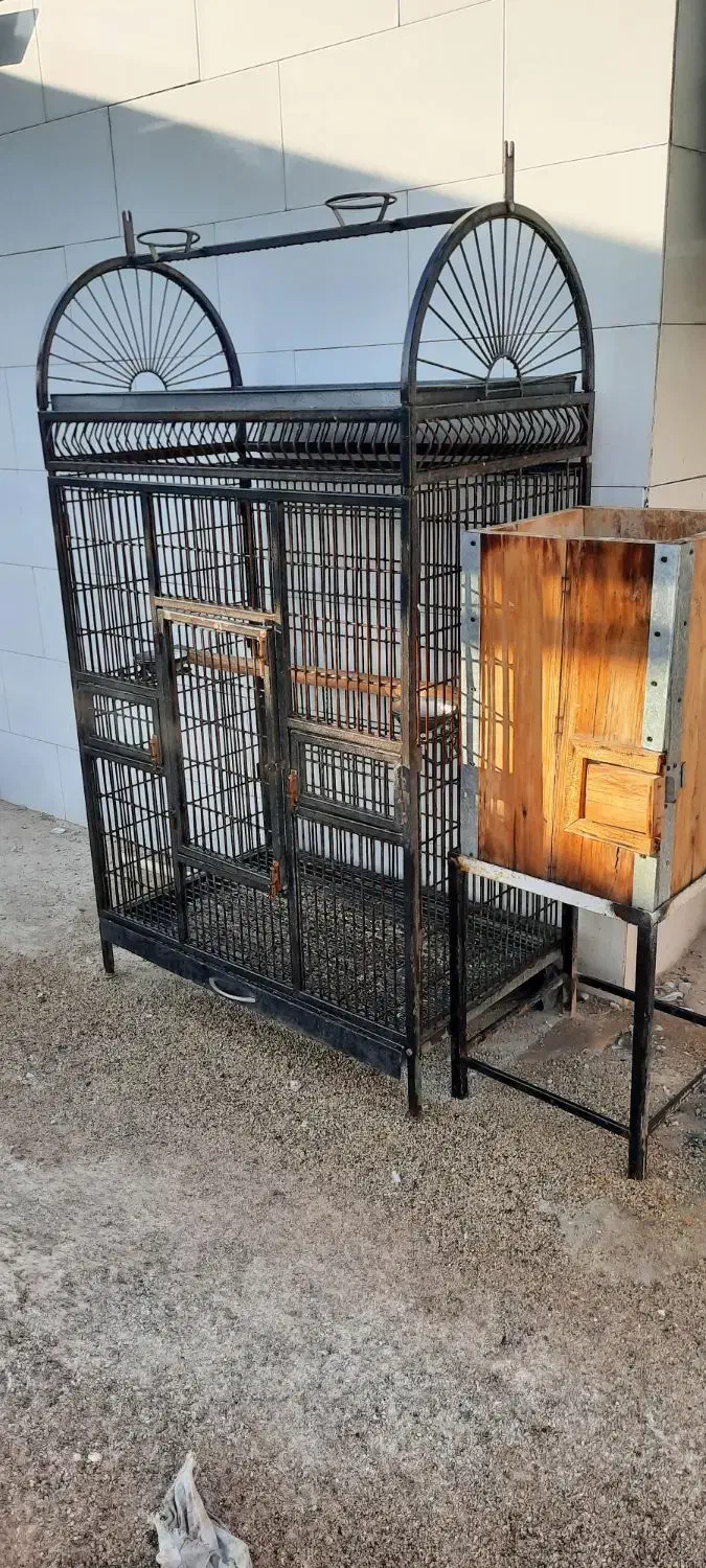 قفس و لانه مکانیزه طوطی سانان|لوازم جانبی حیوانات|داراب, |دیوار