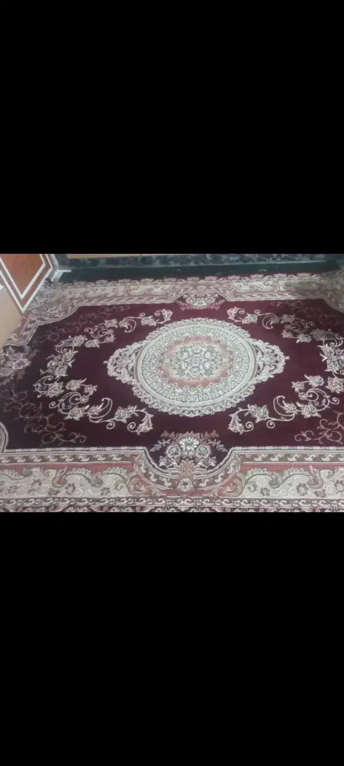 فرش ۱۲متری و ۶متری کار کرده|فرش|کوه چنار, |دیوار