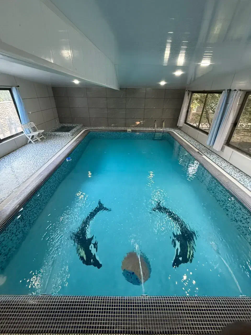 اجاره کوتاه مدت سوئیت و ویلا در باغبهادران|اجارهٔ خانه و ویلا|باغ بهادران, |دیوار