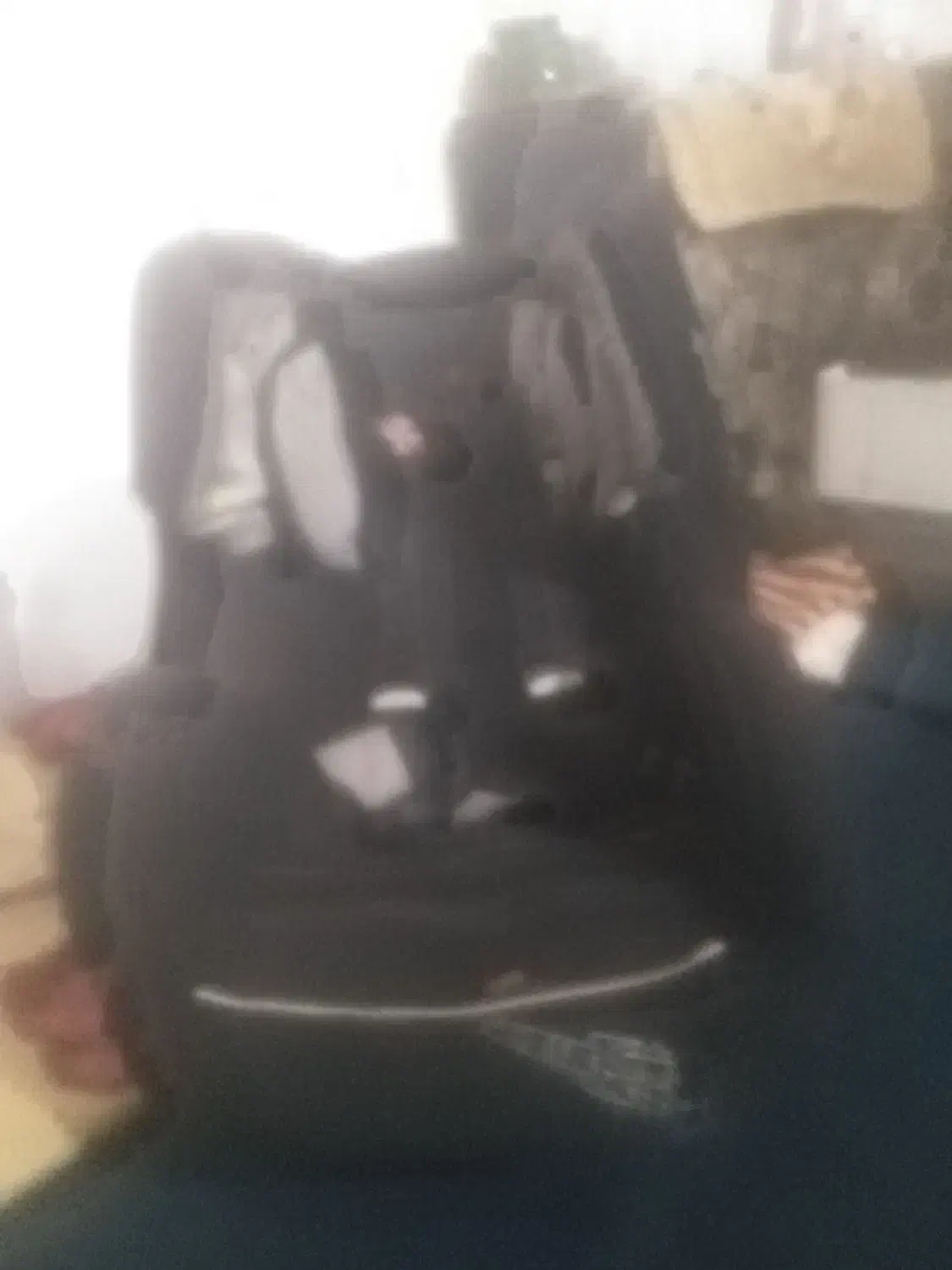 صندلی کودک|تخت و صندلی بچه|گلبهار, شهر جدید گلبهار|دیوار