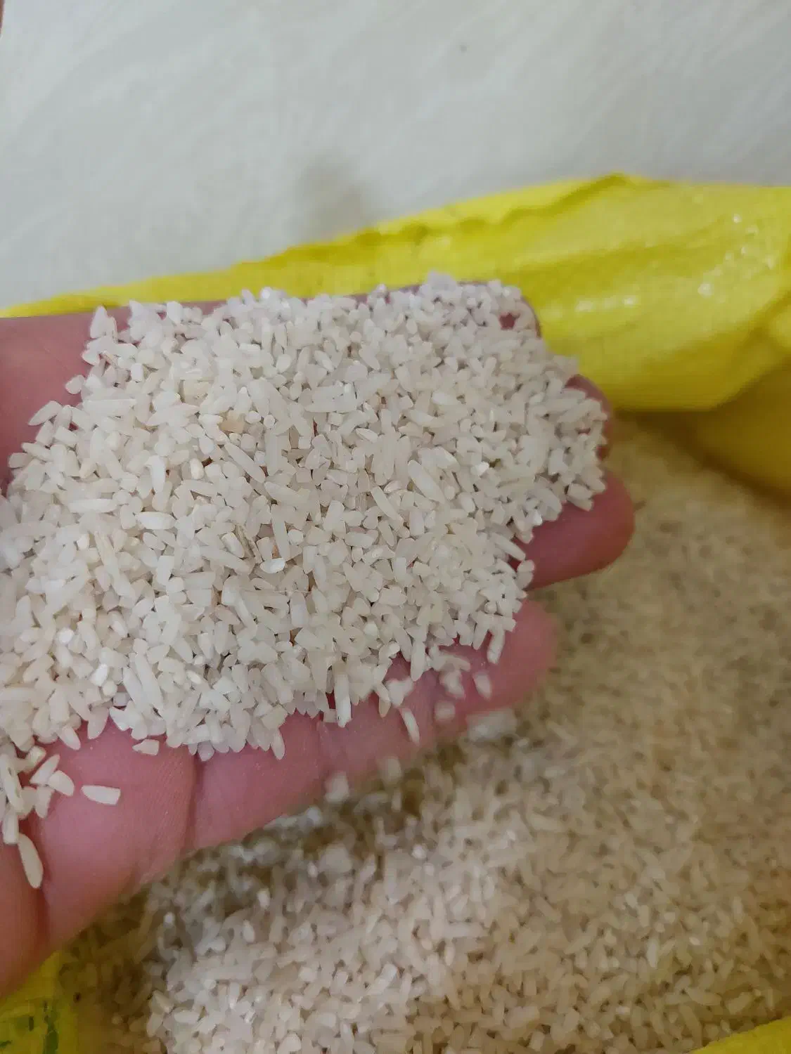 لاشه هاشمی خالص خالص به وزن ۳۵۰۰ کیلو|خوردنی و آشامیدنی|پرهسر, |دیوار