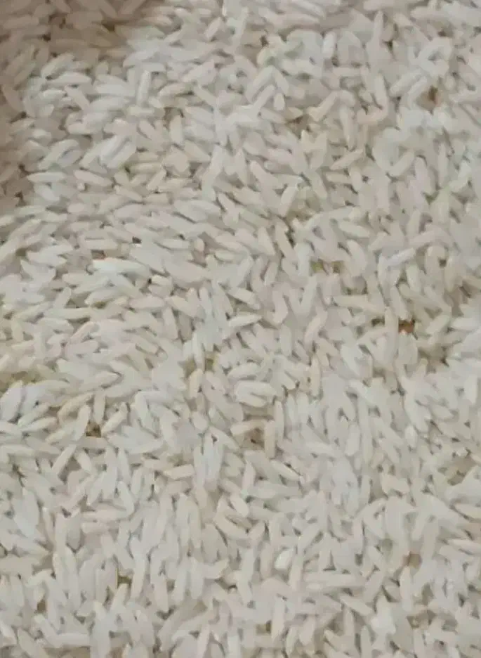 برنج هاشمی|خوردنی و آشامیدنی|رشت, سلیمانداراب|دیوار