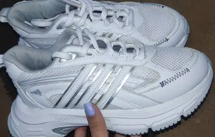 کفش|کیف، کفش، کمربند|یاسوج, |دیوار