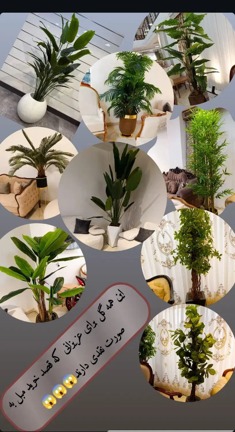 جشنواره اقساطی خرید مبل|مبلمان خانگی و میز عسلی|کرمانشاه, |دیوار