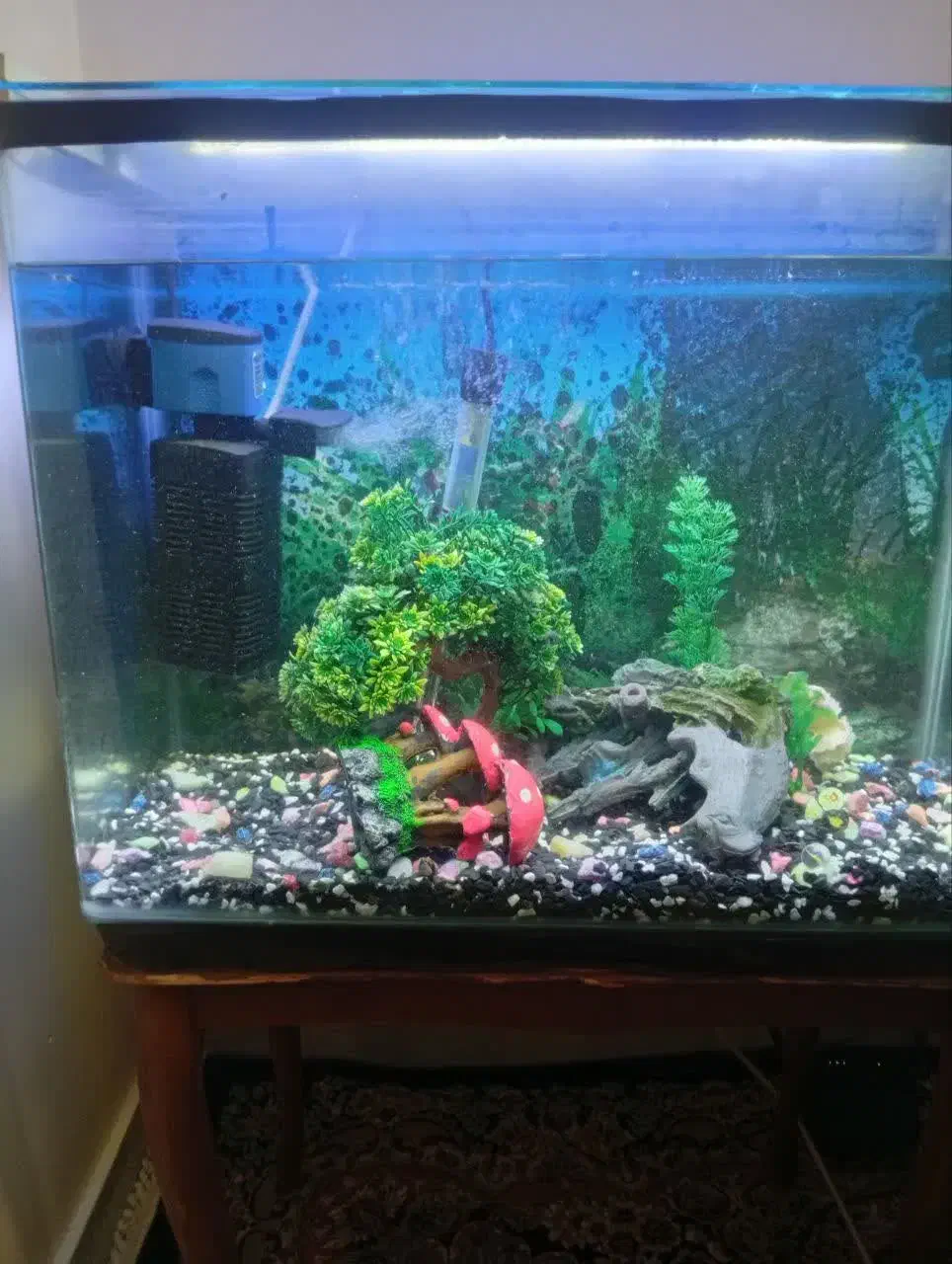 شیشه آکواریوم شرکتی خم|ماهی|تهران, قناتکوثر|دیوار