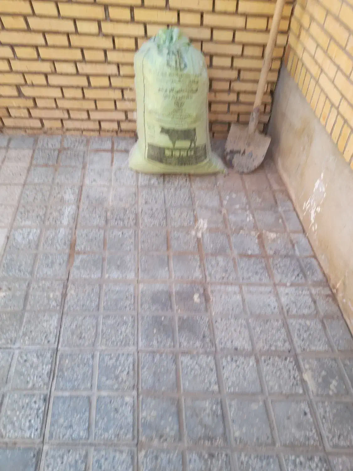 تابلو|لوازم جانبی حیوانات|فردوس (خراسان), |دیوار