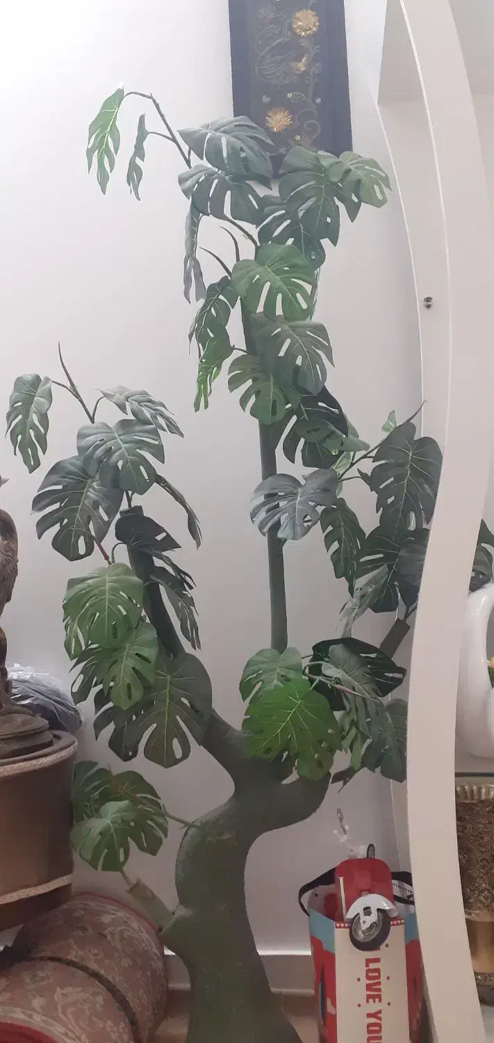 تعدادی لوازم دکوری منزل و کناره فرش|صنایع دستی و سایر لوازم تزئینی|سبزوار, غرب نیروگاه|دیوار