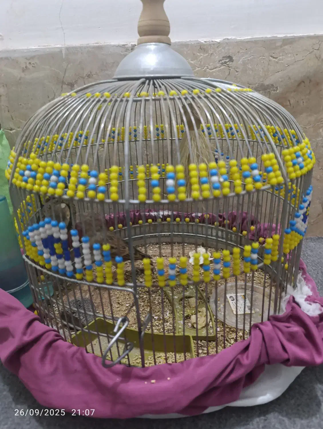 کولر و تلویزیون و دو عدد قفس و طرقه|تلویزیون و پروژکتور|قم, نیروگاه|دیوار