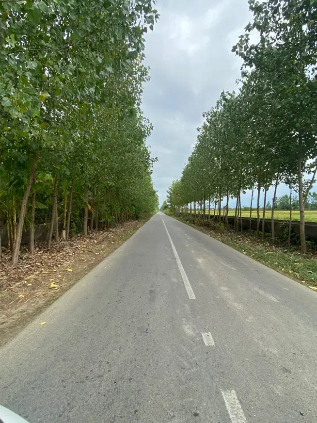 فروش زمین ۲۸۷ نوخاله|فروش زمین و ملک کلنگی|رشت, حومه رشت|دیوار