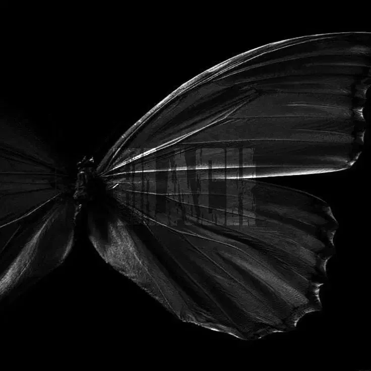 09122160045|سیم‌کارت|تهران, ونک|دیوار