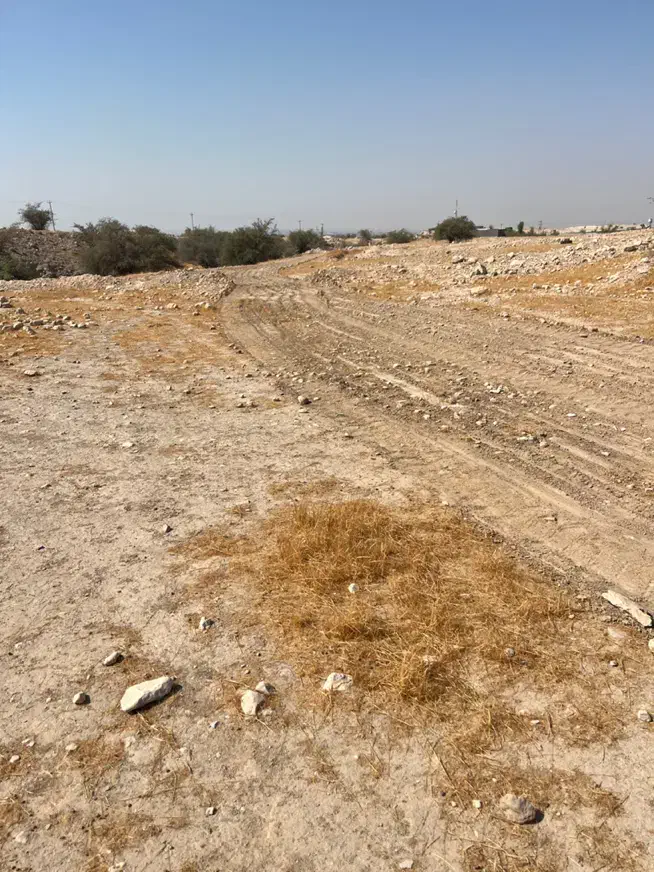 زمین ثبتی بالای کارخونه ارد|فروش زمین و ملک کلنگی|برازجان, |دیوار