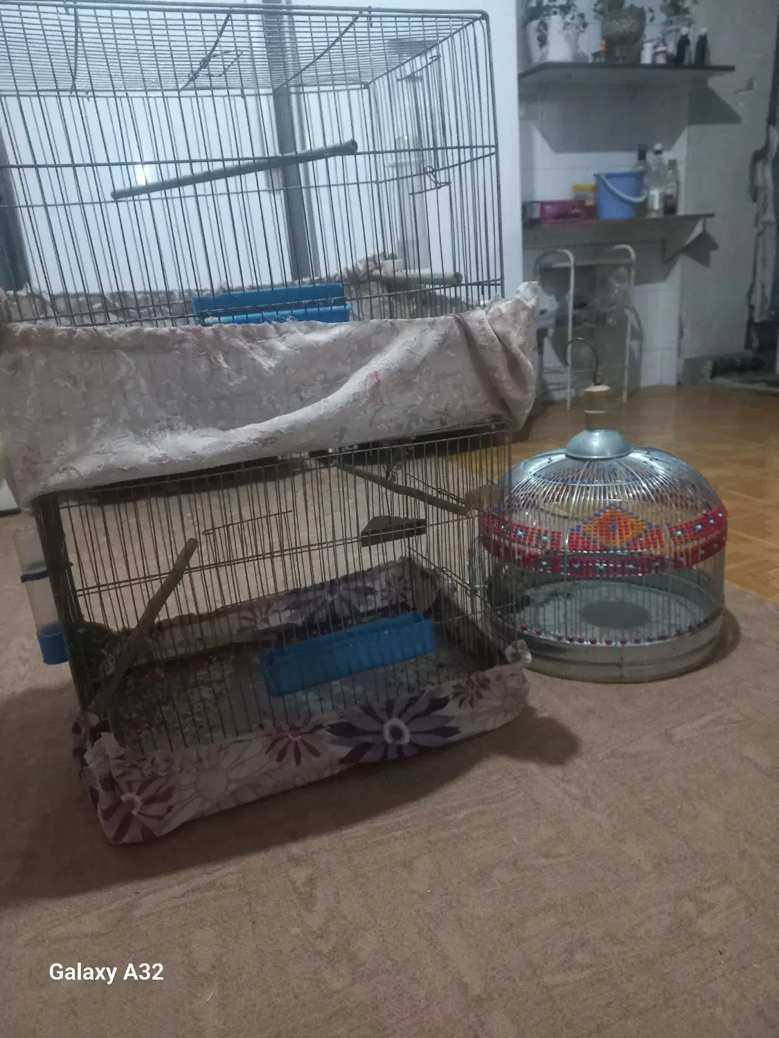 قفس طرقه وقناری|لوازم جانبی حیوانات|شاهین‌شهر, شهرک گلدیس|دیوار