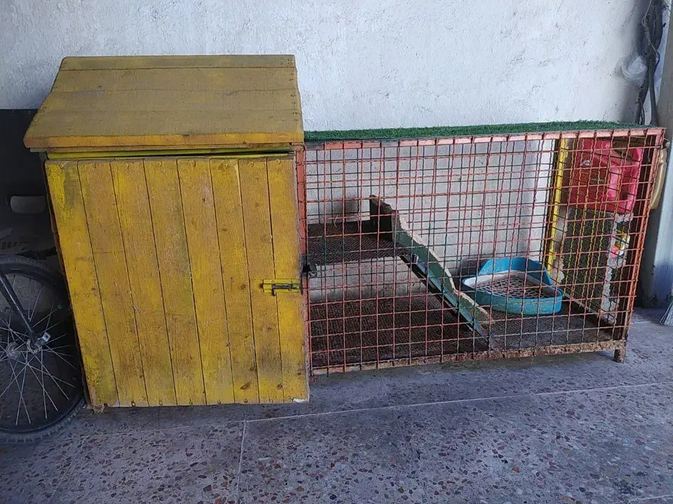 لانه حیوانات|لوازم جانبی حیوانات|رشت, جانبازان|دیوار