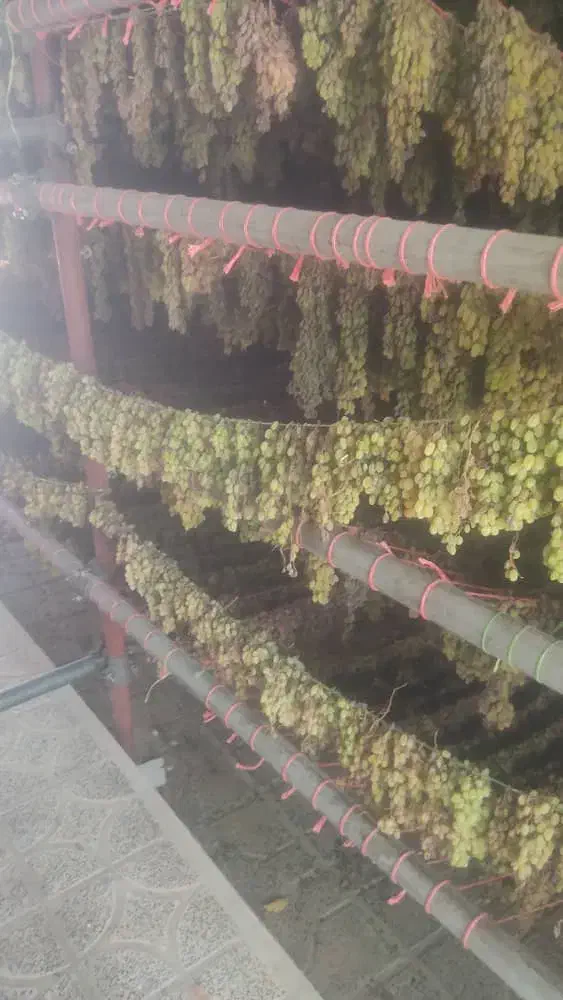 کشمش محلی درجه یک|خوردنی و آشامیدنی|دهگلان, |دیوار