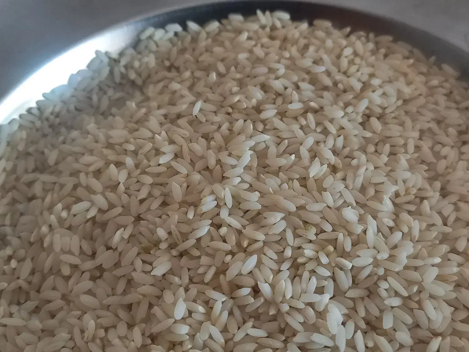 برنج شمشیری اصل چرداول|خوردنی و آشامیدنی|چرداول, |دیوار