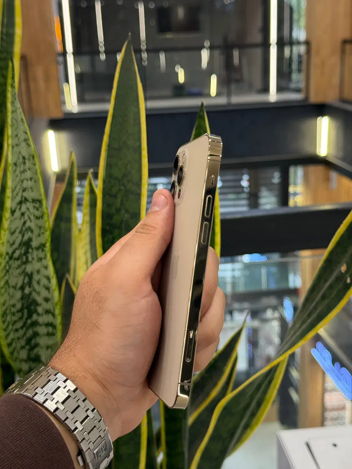 آیفون ۱۲ پرو|موبایل|رشت, چله خانه|دیوار