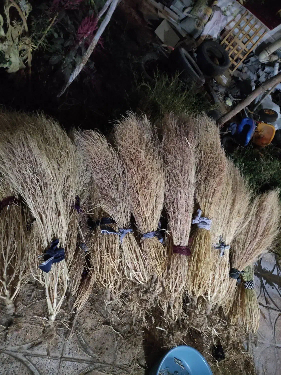 جارو محلی(کشمونی)۳۰هزار تومن مهرشهر|لوازم نظافت|بیرجند, |دیوار