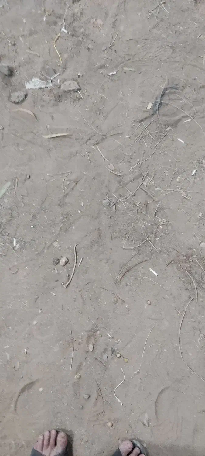 زمین فروشی|فروش زمین و ملک کلنگی|کاشان, ولیعصر|دیوار