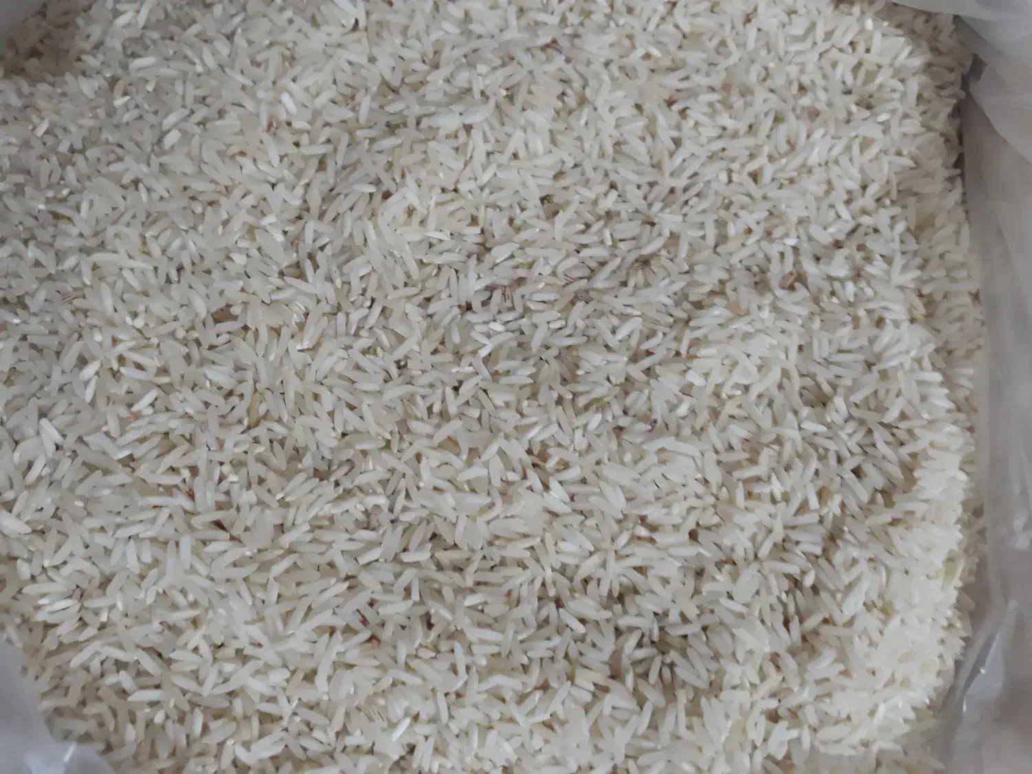 برنج هاشمی|خوردنی و آشامیدنی|سیروان, |دیوار