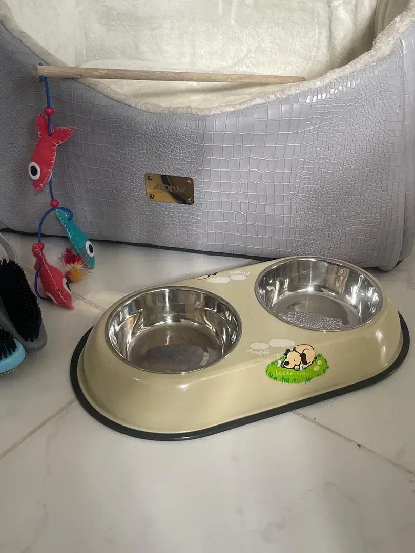 وسیله سگ و گربه|لوازم جانبی حیوانات|قدس, شهرقدس|دیوار