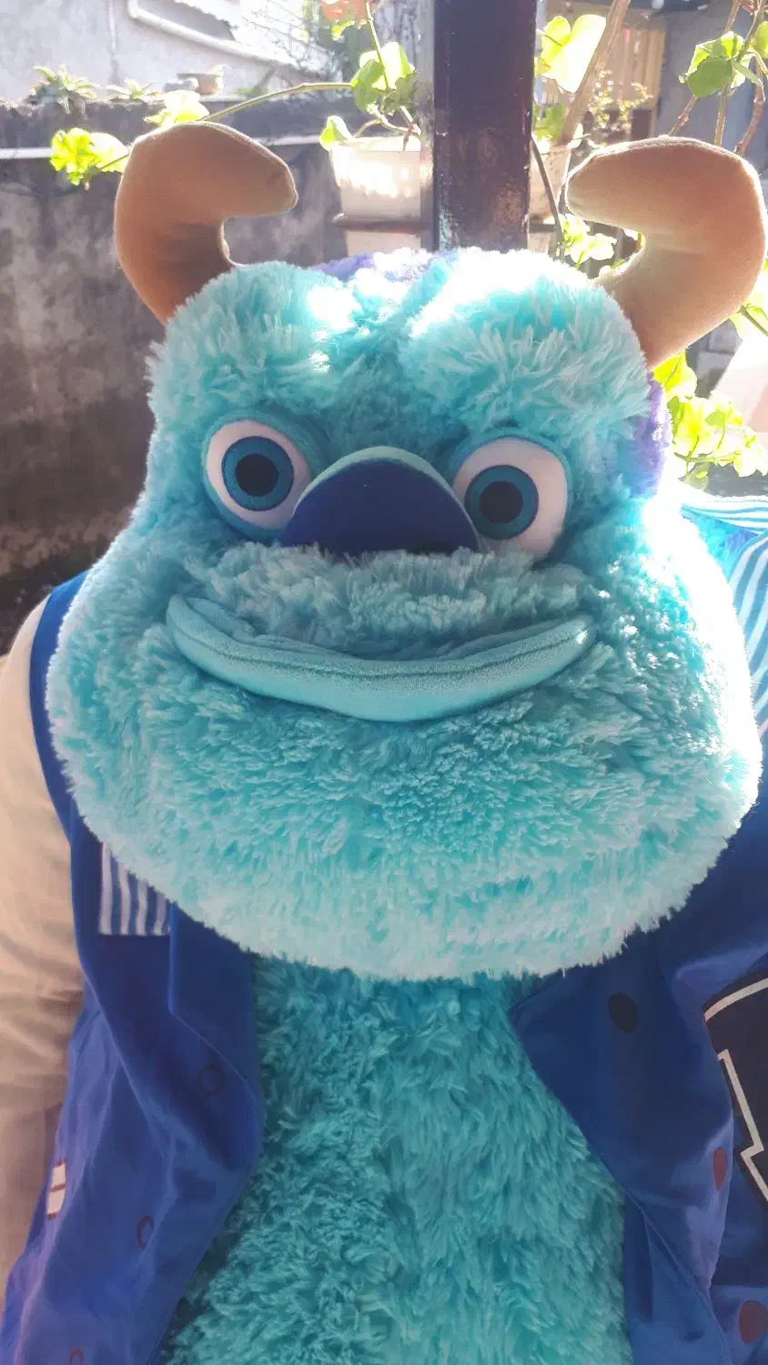 عروسک سالیوان|اسباب‌‌بازی|لشت نشا, |دیوار