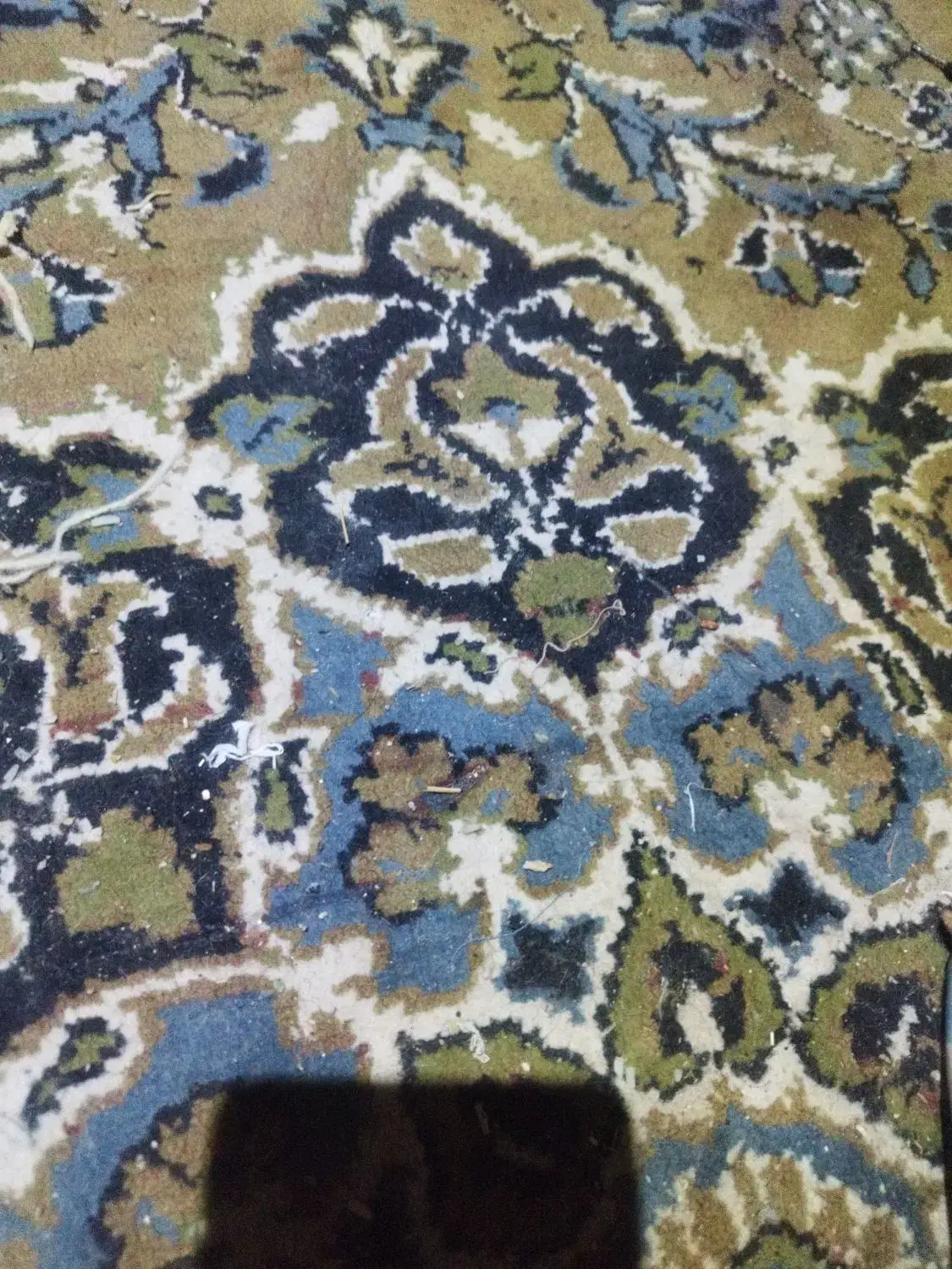 نظافت انجام میدم|خدمات نظافت|بیرجند, |دیوار