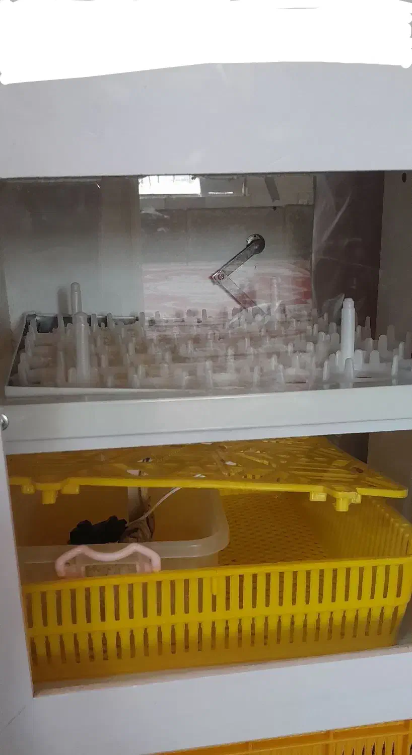 دستگاه جوجه کشی ۴۲تایی|لوازم جانبی حیوانات|ملایر, |دیوار