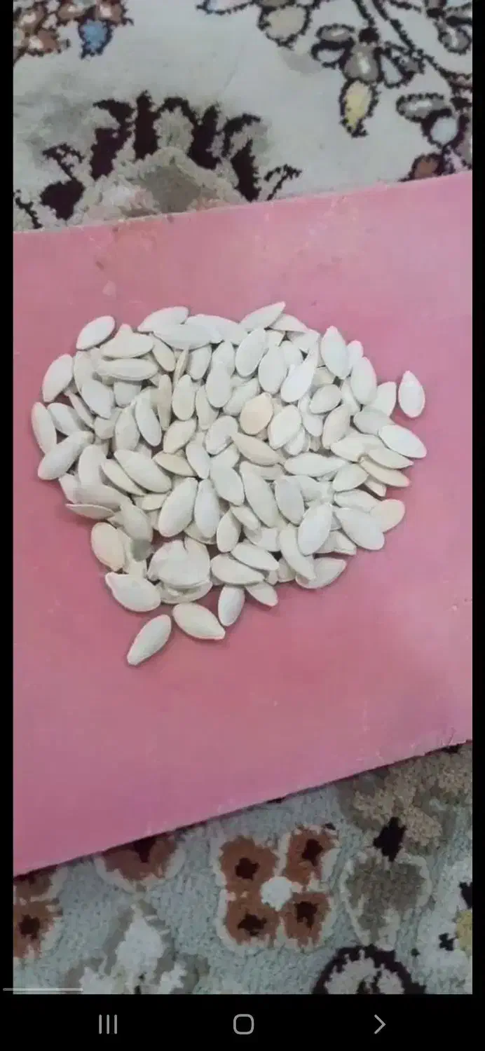 تخمه کدو|خوردنی و آشامیدنی|خان ببین, |دیوار