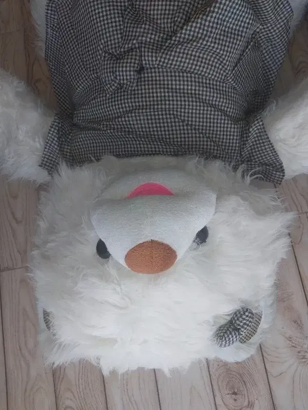 عروسک|اسباب‌بازی بچه|سرپل ذهاب, |دیوار