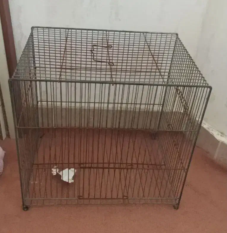 قفس پرنده|لوازم جانبی حیوانات|مشهد, قائم|دیوار