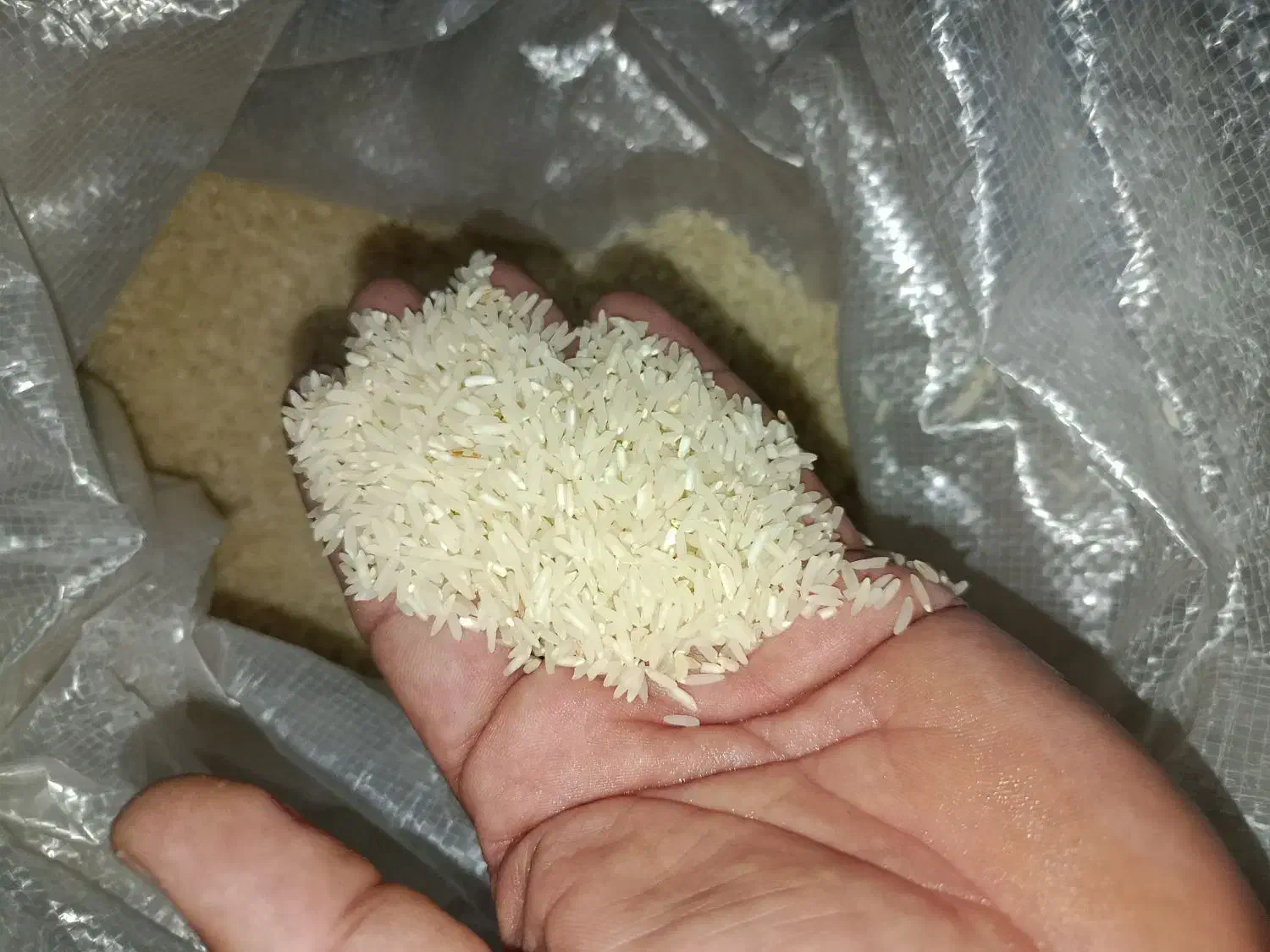 برنج محلی|خوردنی و آشامیدنی|دهلران, |دیوار