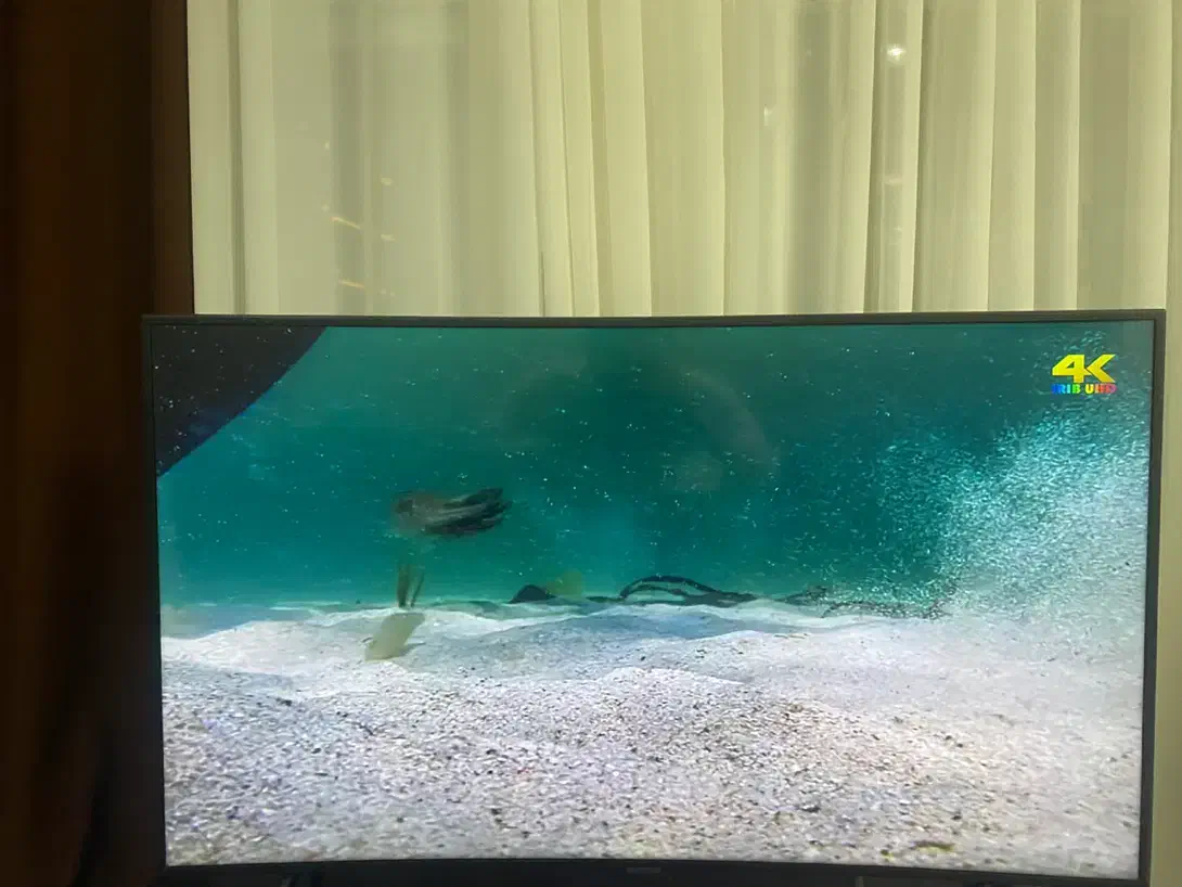 تلویزیون ۵۵ سامسونگ خم|تلویزیون و پروژکتور|ساری, |دیوار